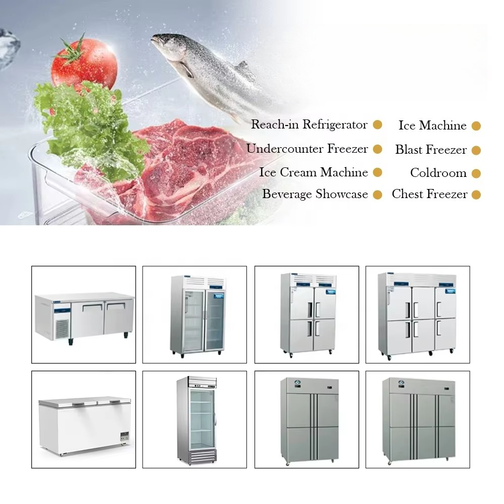 Bestselling Modern Freestandin - Commercial Kitchen Equipment ulasan dan harga